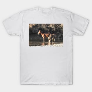 Wild Horses, Salt River, Arizona T-Shirt